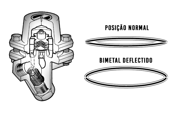 purgador bimetalico