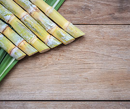 Listagem_0001_bigstock-Top-View-Fresh-Sugar-Cane-And--140894354